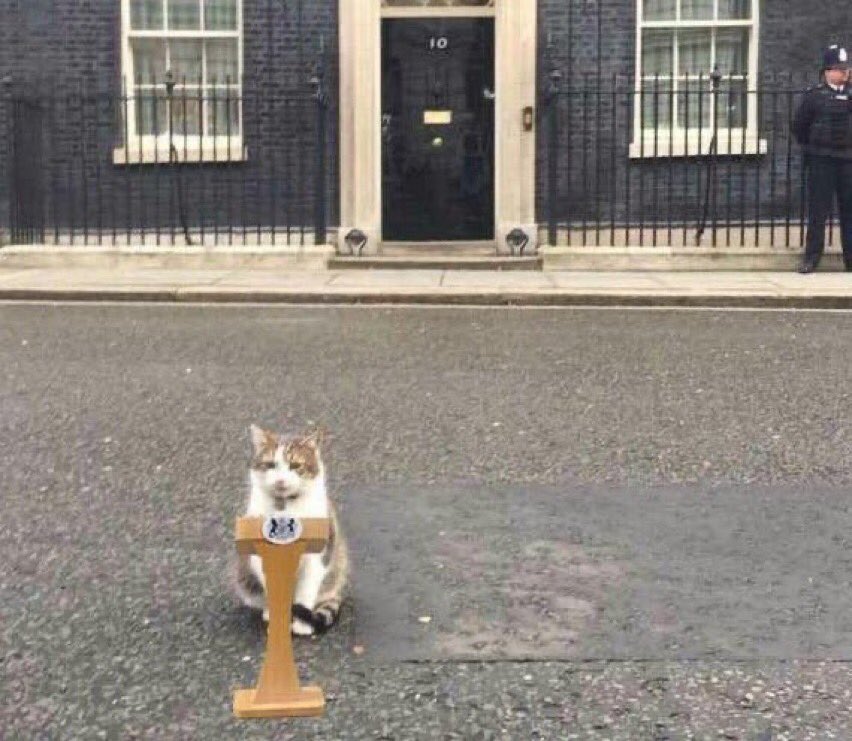 Larry the Cat at 10 Downing Street. Cat as Prime minister. Cat makes prime minister speech at downing street.